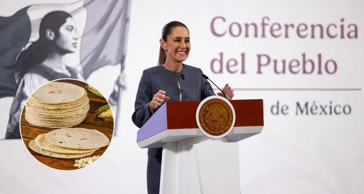 Entérate de los encargados de las negociaciones para evitar el aumento del precio de la tortilla. Foto: cortesía