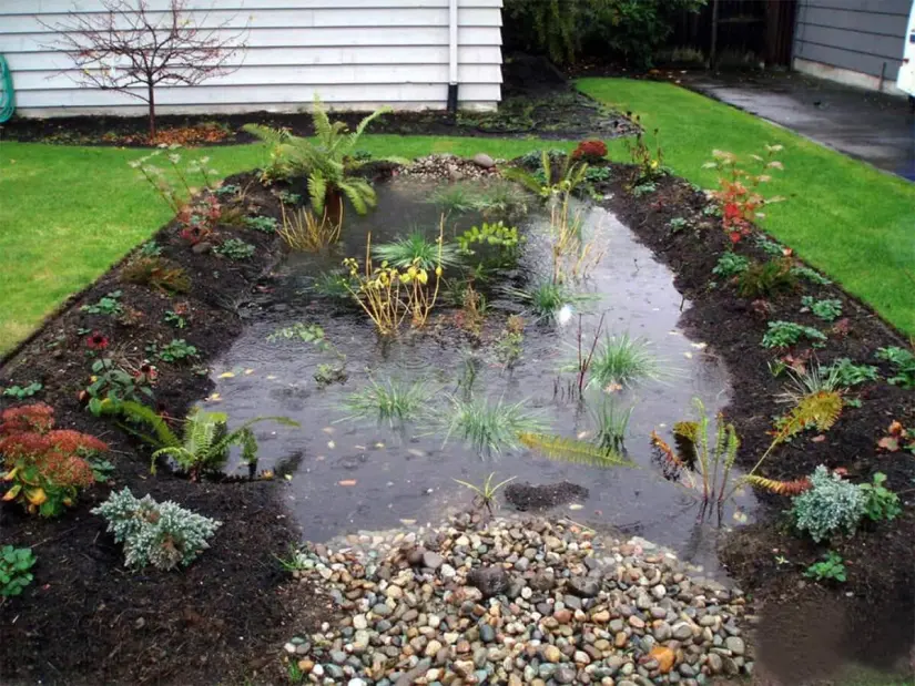 Aquí puedes visualizar un ejemplo ya materializado de lo que se propone con los Jardines de lluvia. Foto: Cortesía. Aquí puedes visualizar un ejemplo ya materializado de lo que se propone con los Jardines de lluvia. Foto: Cortesía.