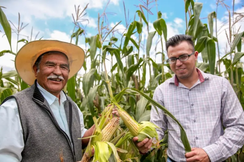 Todo aquel productor que esté inscrito al programa Producción para el Bienestar podrán recibir el apoyo económico dependiendo su tipo de producto . Foto. Cortesía. Todo aquel productor que esté inscrito al programa Producción para el Bienestar podrán recibir el apoyo económico dependiendo su tipo de producto . Foto. Cortesía.