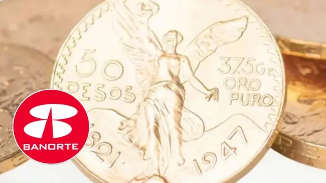 Esto tienes que hacer para saber si la moneda que tienes es auténtica. Foto: cortesía