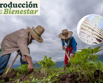 Tarjeta Bienestar 2025, requisitos para obtener los $24,000