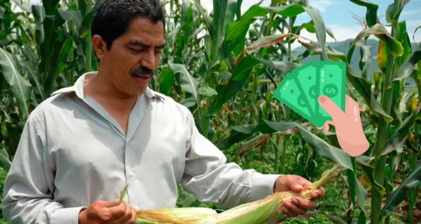 Recuerda que dependiendo el tipo de producción que realices, será el monto que recibirás en este programa. Foto: Cortesía. Recuerda que dependiendo el tipo de producción que realices, será el monto que recibirás en este programa. Foto: Cortesía.