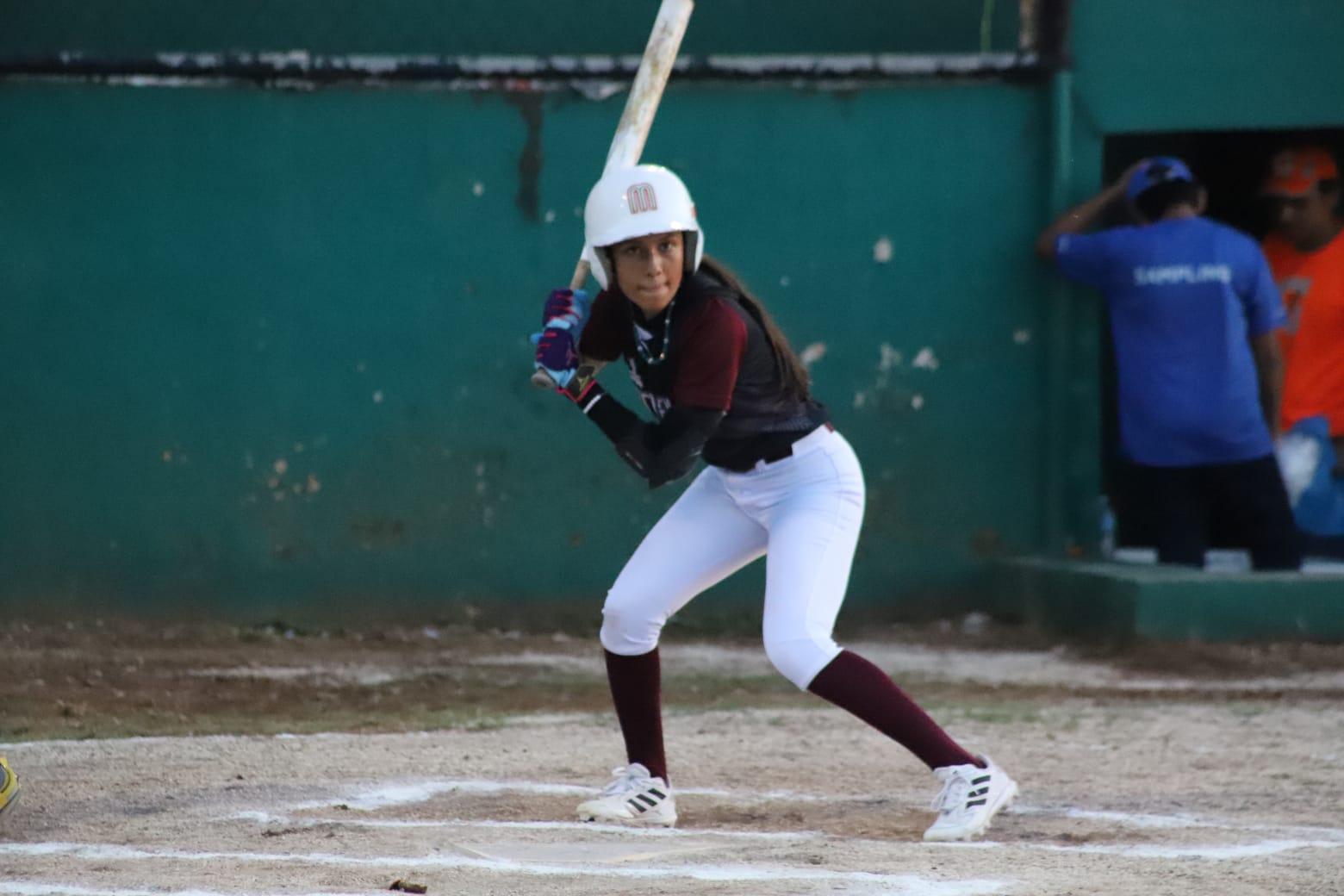Imagen 15