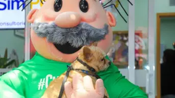 Inauguran SimiPet Care en CDMX, el primer consultorio veterinario de Dr. Simi