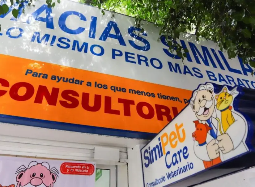 Inauguran SimiPet Care en CDMX, el primer consultorio veterinario de Dr. Simi El consultorio abre sus puertas de lunes a domingos en diversos horarios. Foto: Cortesía