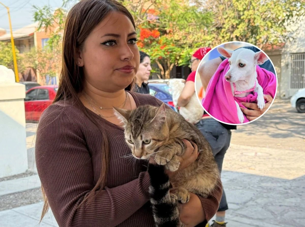 Esterilizaciones gratuitas en el municipio de Aguascalientes. Foto: Cortesía