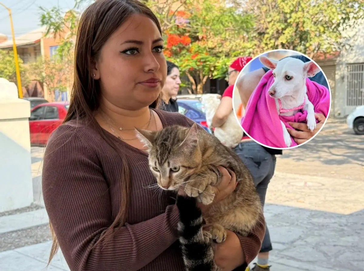 Esterilizaciones gratuitas en el municipio de Aguascalientes. Foto: Cortesía