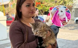 Esteriliza a tu perrito y gato sin que te cueste nada en Aguascalientes; fechas