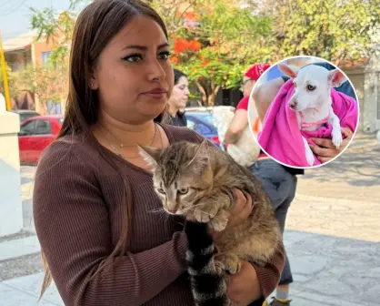 Esteriliza a tu perrito y gato sin que te cueste nada en Aguascalientes; fechas