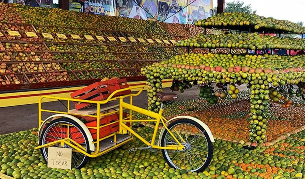 Exótica fruta que cambio la gastronomía de Yucatán. Foto: Yucatán Today.