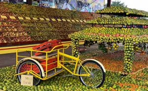 No es maya, pero Yucatán la adoptó como suya: la fruta que vino de Europa