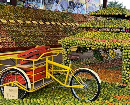 No es maya, pero Yucatán la adoptó como suya: la fruta que vino de Europa