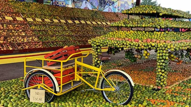 Exótica fruta que cambio la gastronomía de Yucatán. Foto: Yucatán Today.