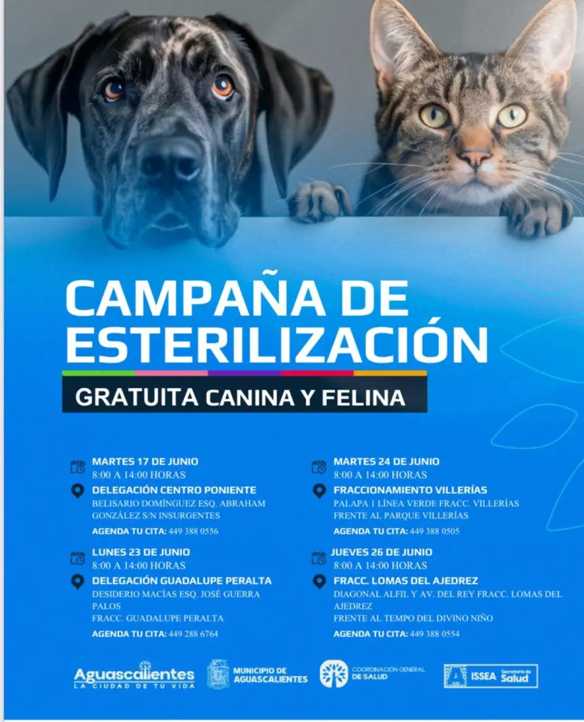 Calendario para esterilizaciones gratuitas en junio en Aguascalientes. Foto: Cortesía