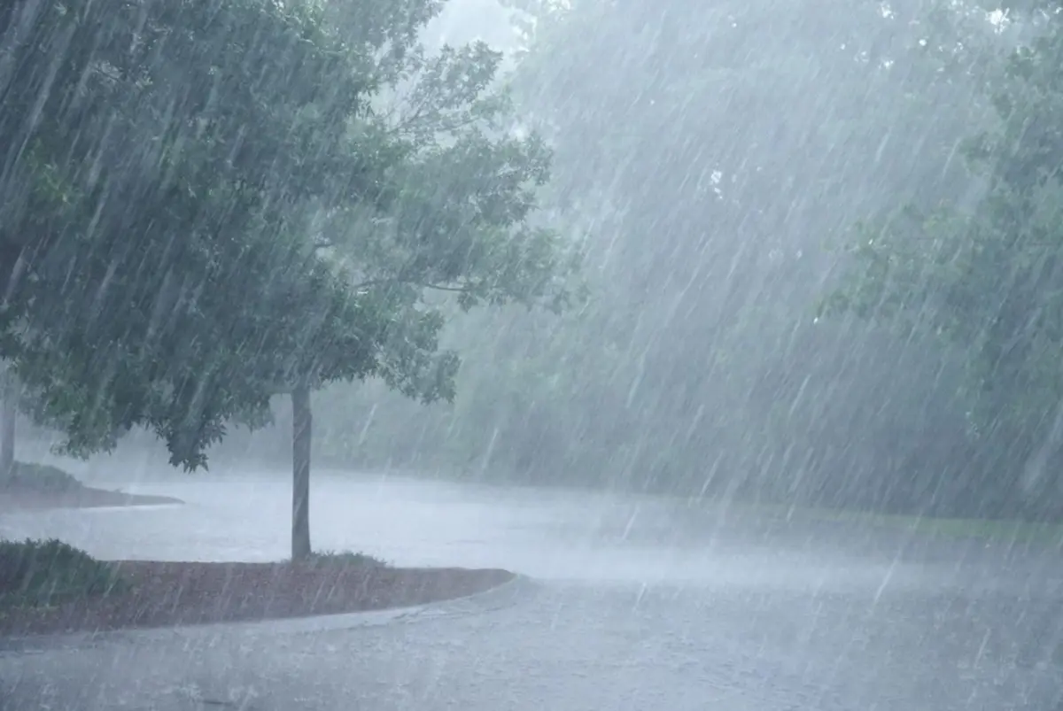 Todos los días llueve en la Sierra de Sinaloa