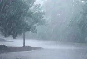 Todos los días llueve en la Sierra de Sinaloa