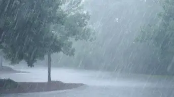 Todos los días llueve en la Sierra de Sinaloa