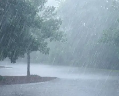 Todos los días llueve en la Sierra de Sinaloa