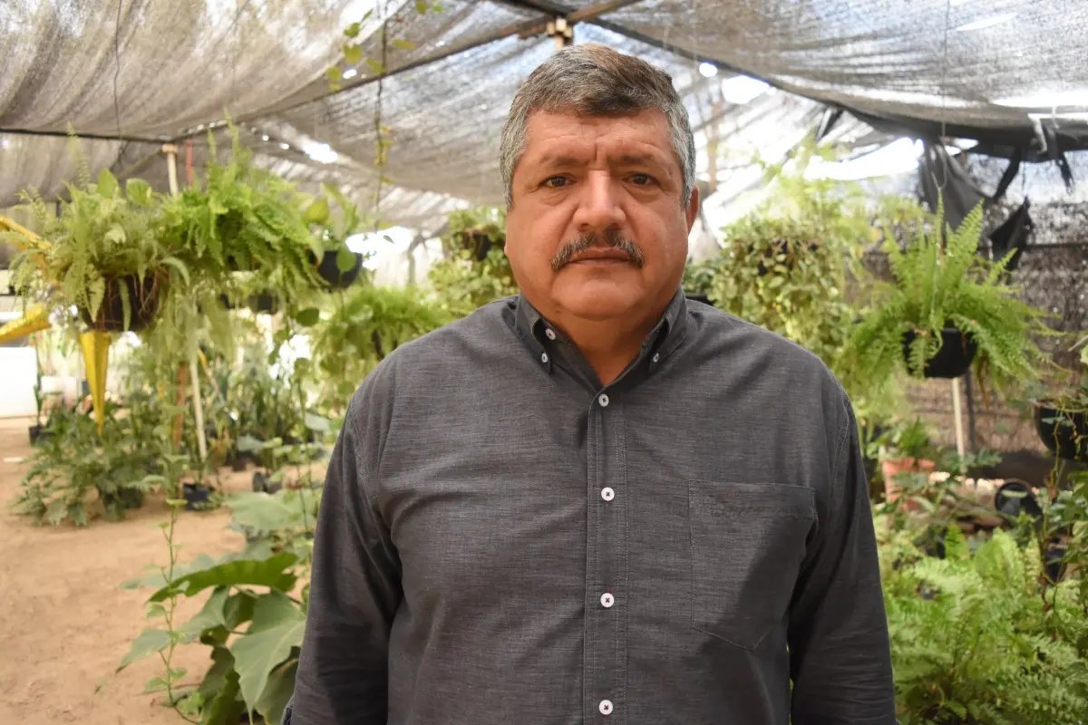 Don Luis y el vivero Flor de Dalia: 30 años cultivando vida con pasión y sabiduría en Culiacán