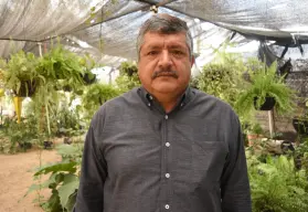 Don Luis y el vivero Flor de Dalia: 30 años cultivando vida con pasión y sabiduría en Culiacán