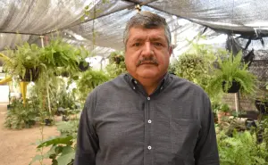 Don Luis y el vivero Flor de Dalia: 30 años cultivando vida con pasión y sabiduría en Culiacán