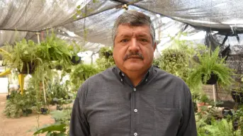 Don Luis y el vivero Flor de Dalia: 30 años cultivando vida con pasión y sabiduría en Culiacán