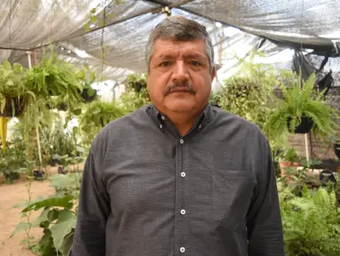 Don Luis y el vivero Flor de Dalia: 30 años cultivando vida con pasión y sabiduría en Culiacán