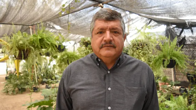 El vivero Flor de Dalia, atendido personalmente por don Luis Gabriel, se encuentra por la carretera a Imala, a la altura del residencial Maralago y unos metros antes del acceso al Instituto Chapultepec Norte. | Imágenes de Lino Ceballos