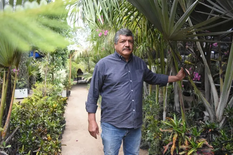 Don Luis y el vivero Flor de Dalia: 30 años cultivando vida con pasión y sabiduría en Culiacán