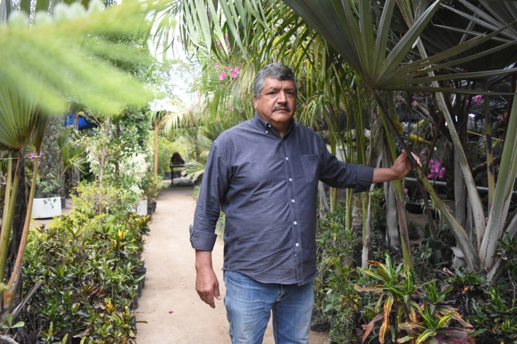 Don Luis y el vivero Flor de Dalia: 30 años cultivando vida con pasión y sabiduría en Culiacán