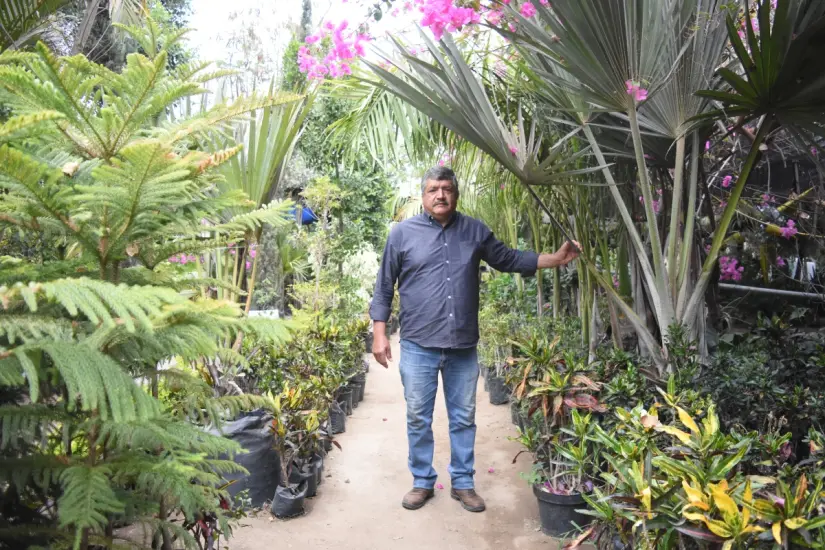imagen recuadro El vivero Flor de Dalia, ubicado por la carretera a Imala, frente al residencial Maralago, ofrece mucho más que plantas: ofrece recuerdos, rituales y emociones.