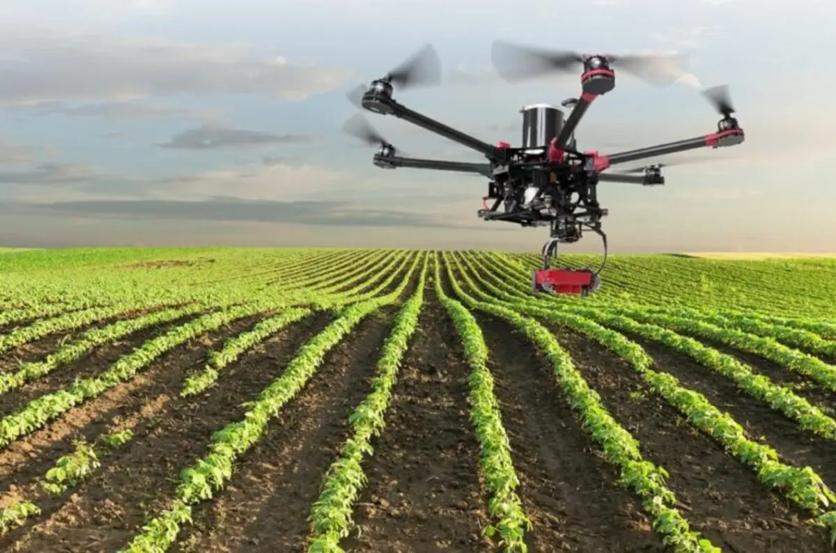 La Revolución Silenciosa del Campo: Cómo los Drones Agrícolas Redefinirán Nuestro Mundo