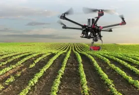La Revolución Silenciosa del Campo: Cómo los Drones Agrícolas Redefinirán Nuestro Mundo