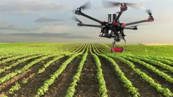 La Revolución Silenciosa del Campo: Cómo los Drones Agrícolas Redefinirán Nuestro Mundo