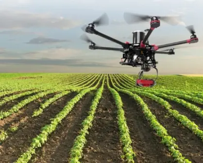 La Revolución Silenciosa del Campo: Cómo los Drones Agrícolas Redefinirán Nuestro Mundo