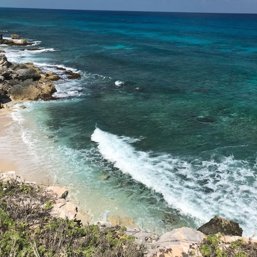 imagen recuadro ¿Cuáles son las playas libres de sargazo en México? Foto: Tripavisor