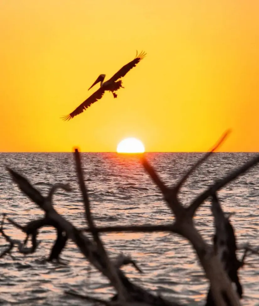 imagen recuadro Vista del atardecer en la playa Marmotas Foto: Mochileros de Yucatán
