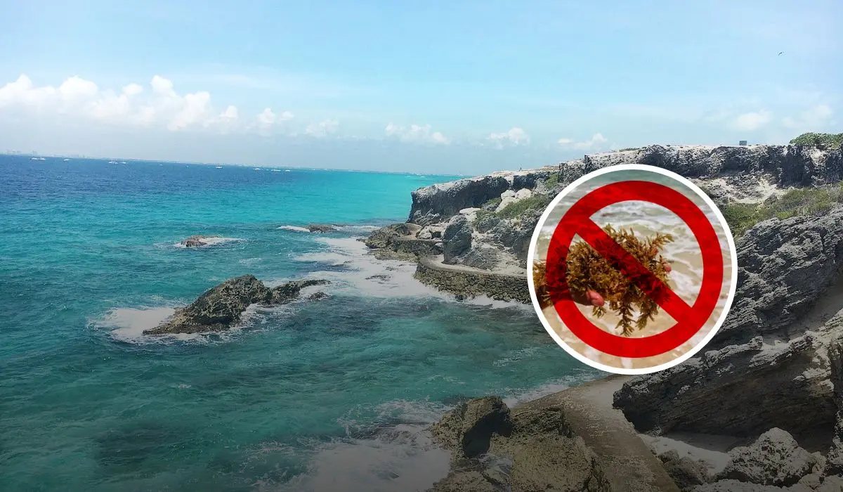 Playas en México donde no hay presencia de sargazo Foto: Tripavisor / Xcaret