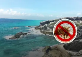 10 Playas sin sargazo en México, destinos ideales para disfrutar del mar limpio este verano 2025
