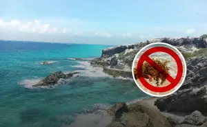 10 Playas sin sargazo en México, destinos ideales para disfrutar del mar limpio este verano 2025