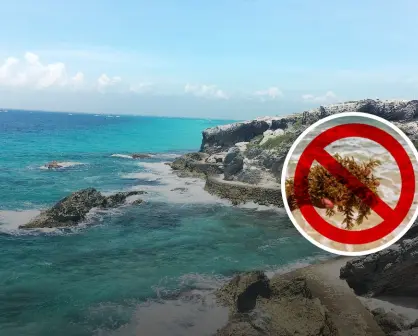 10 Playas sin sargazo en México, destinos ideales para disfrutar del mar limpio este verano 2025