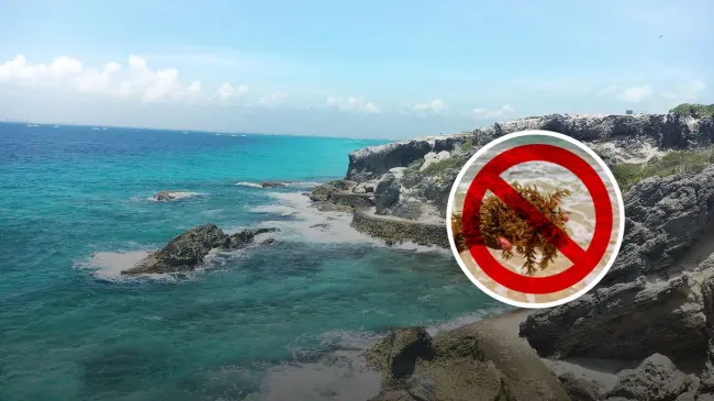 Playas en México donde no hay presencia de sargazo Foto: Tripavisor / Xcaret