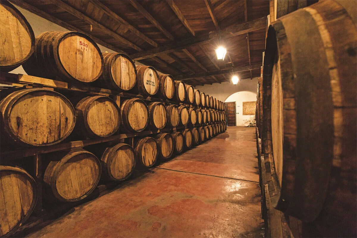 Estos son todos los detalles acerca del Pueblo Mágico de Parras de la Fuente. Foto: Secretaría de Turismo.