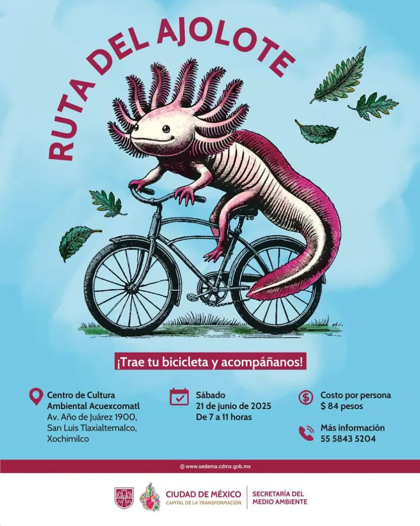 Participa en la “Ruta del Ajolote”, un recorrido biocultural en bicicleta para todos. Foto: Cortesía. Participa en la “Ruta del Ajolote”, un recorrido biocultural en bicicleta para todos. Foto: Cortesía.