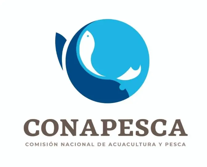 Revisa constantemente la página de Conapesca para que no te pierdas las fechas de registro. Foto: cortesía Revisa constantemente la página de Conapesca para que no te pierdas las fechas de registro. Foto: cortesía.