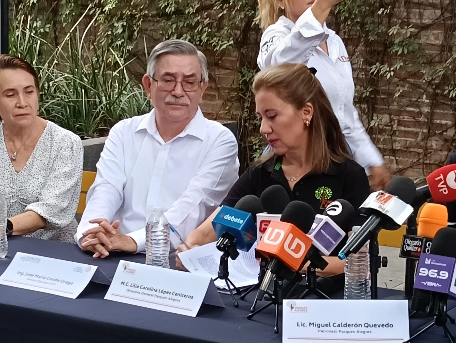 Imagen 5
