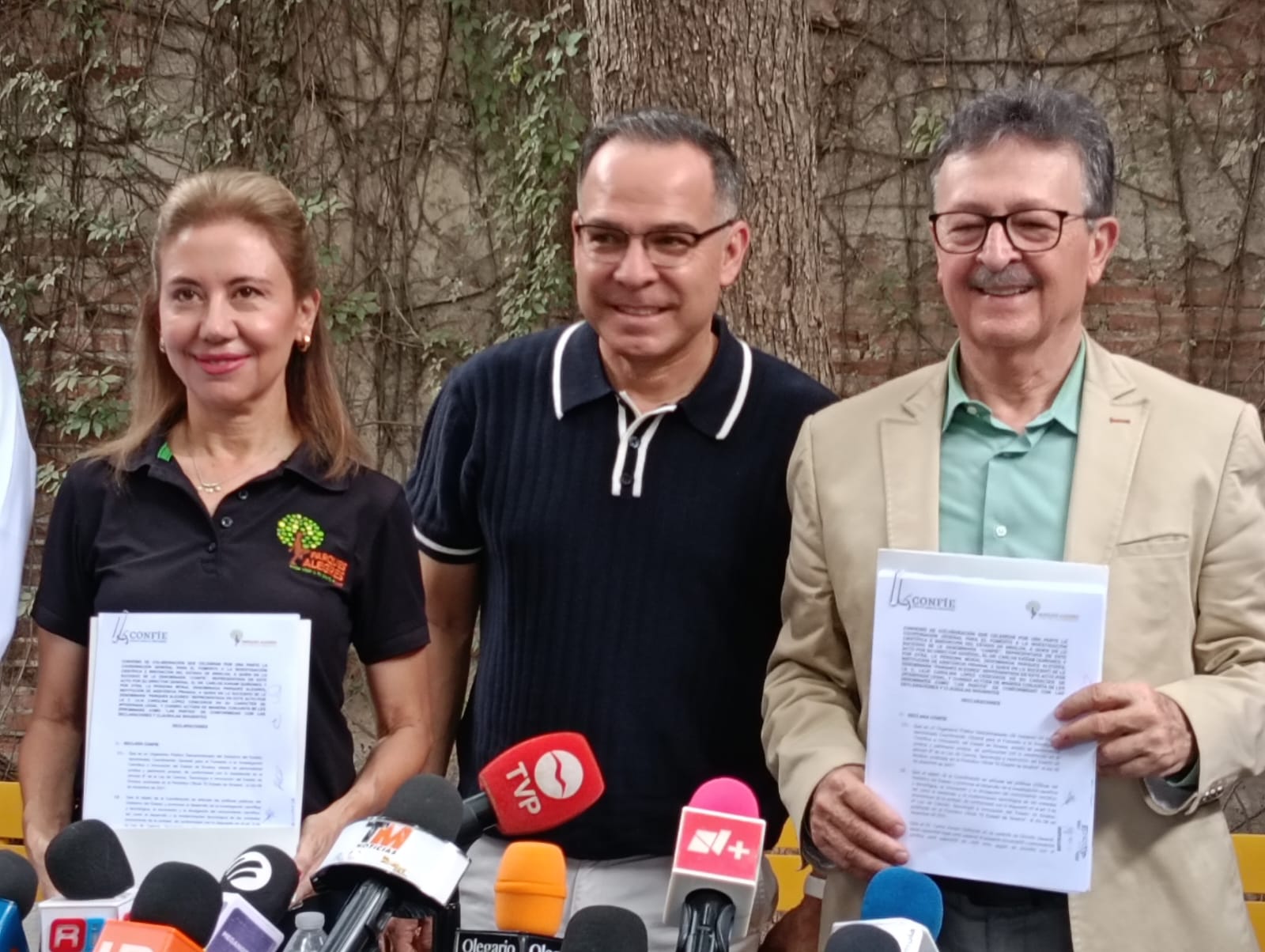 Imagen 9