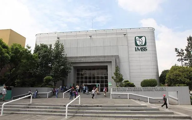 imagen recuadro Proceso de tramité para la afiliación del Seguro Social para la familia Foto: IMSS