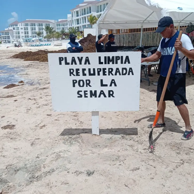 Limpieza de playas Limpieza de playas