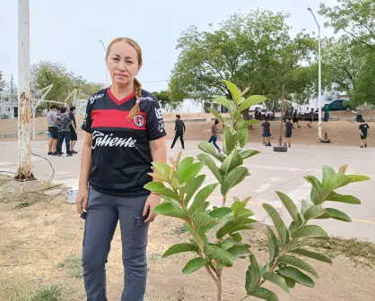 Parque Elektra en Los Ángeles: un espacio que florece gracias al compromiso vecinal en Culiacán